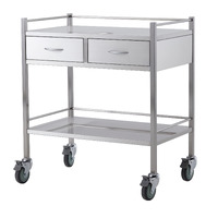 Extra Wide Instrument Trolley (2 Drawers Side by Side)